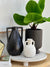Potted Fan Leaf Faux Plant