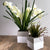 White Base Stripe Cement Vase