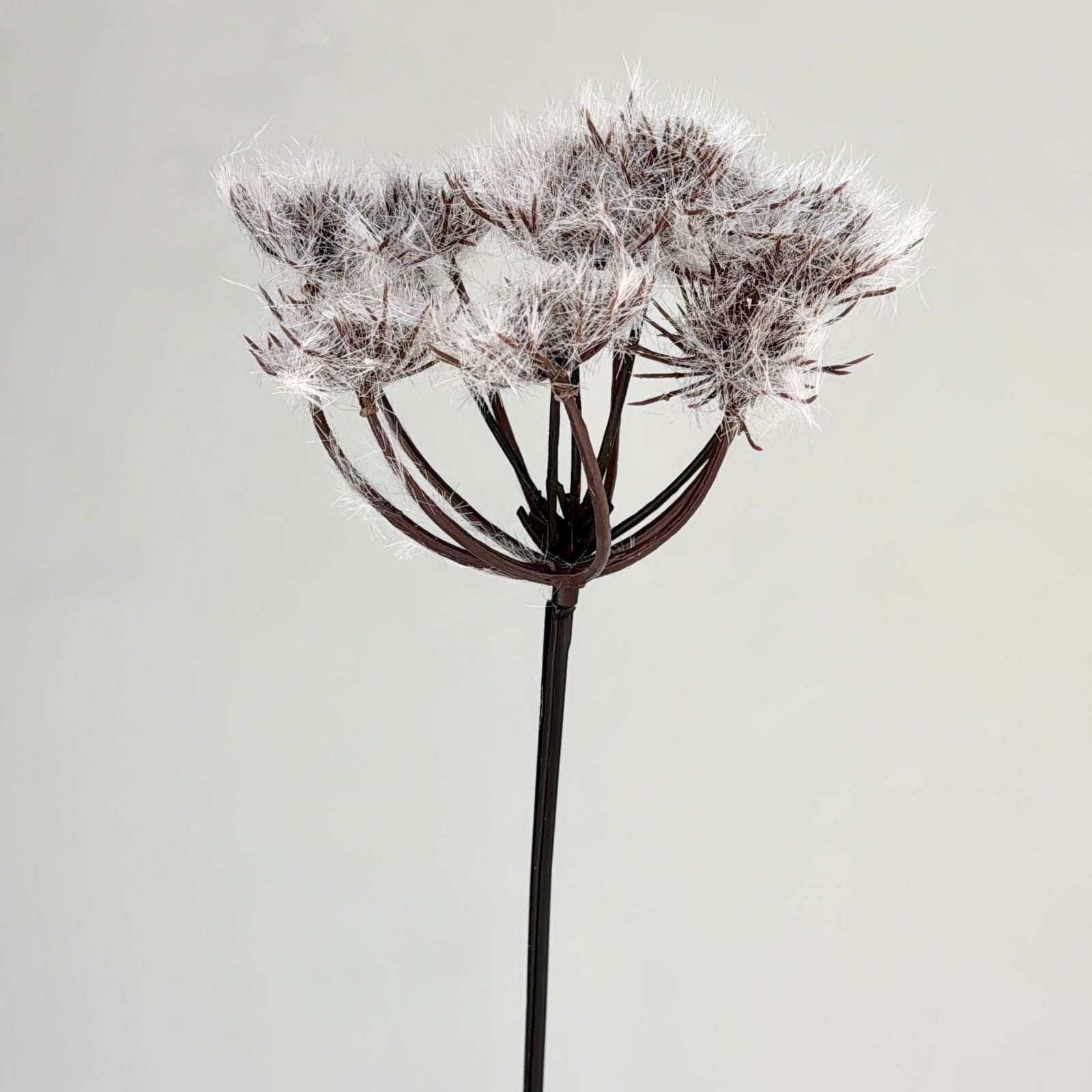 Danila Flocking Alliums Faux
