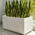 Rectangle Smooth Terrazo Planter