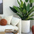 Carousel Fiber Clay Terrazzo Planter