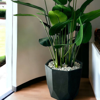 Rekha Mate Black Fiber Clay Planter