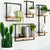 Shelfmate Metal & Wood Vertical Wall Shelf