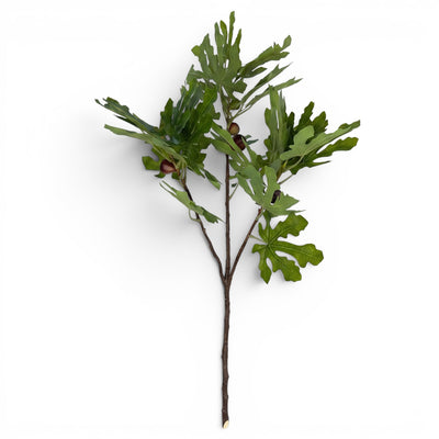 Fig Stem Faux