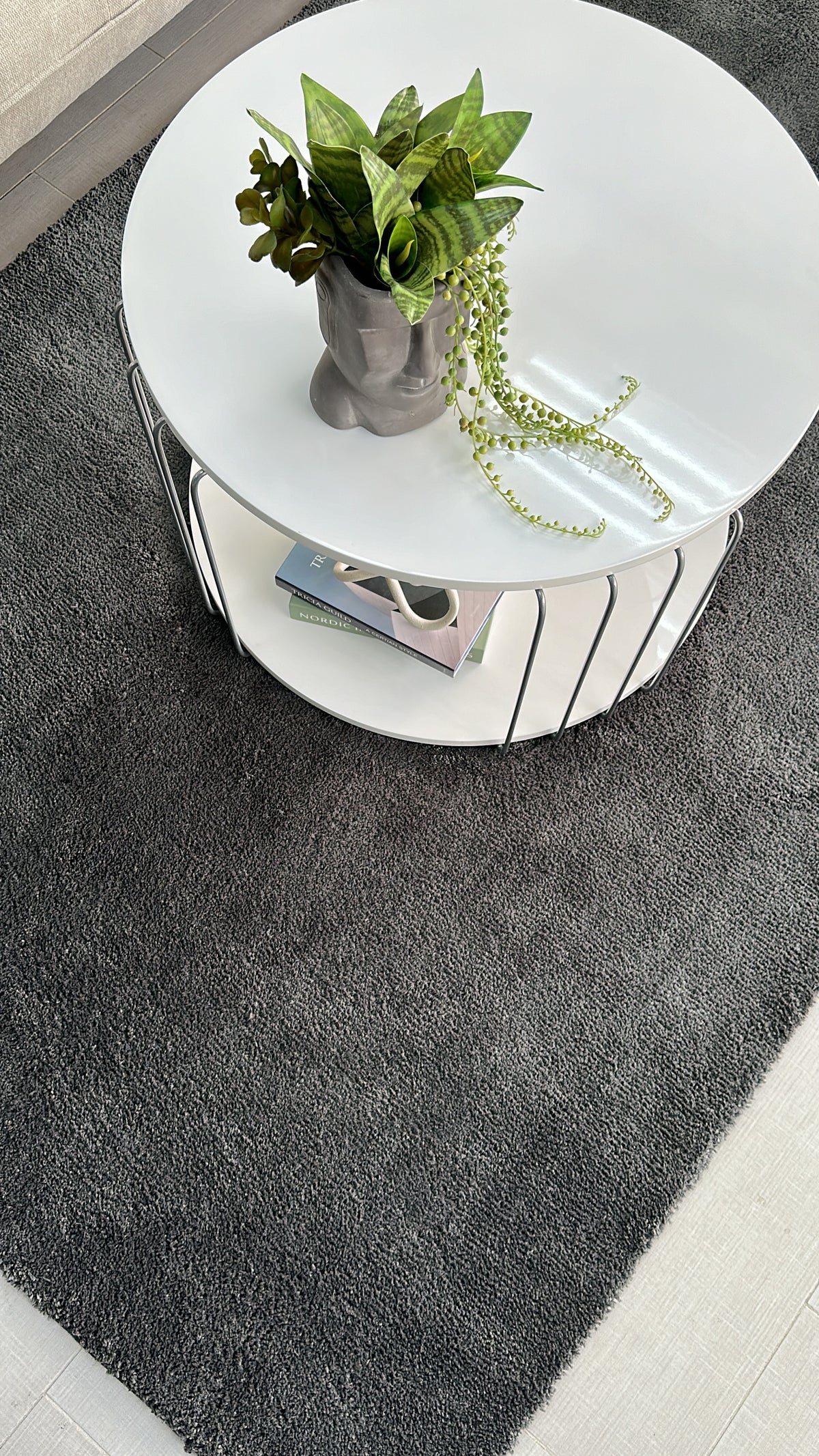 Super Soft Shaggy Gray Rug 5' x 8'
