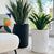 Carousel Fiber Clay Mate Black Planter