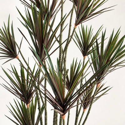 Yucca Faux Tree Large