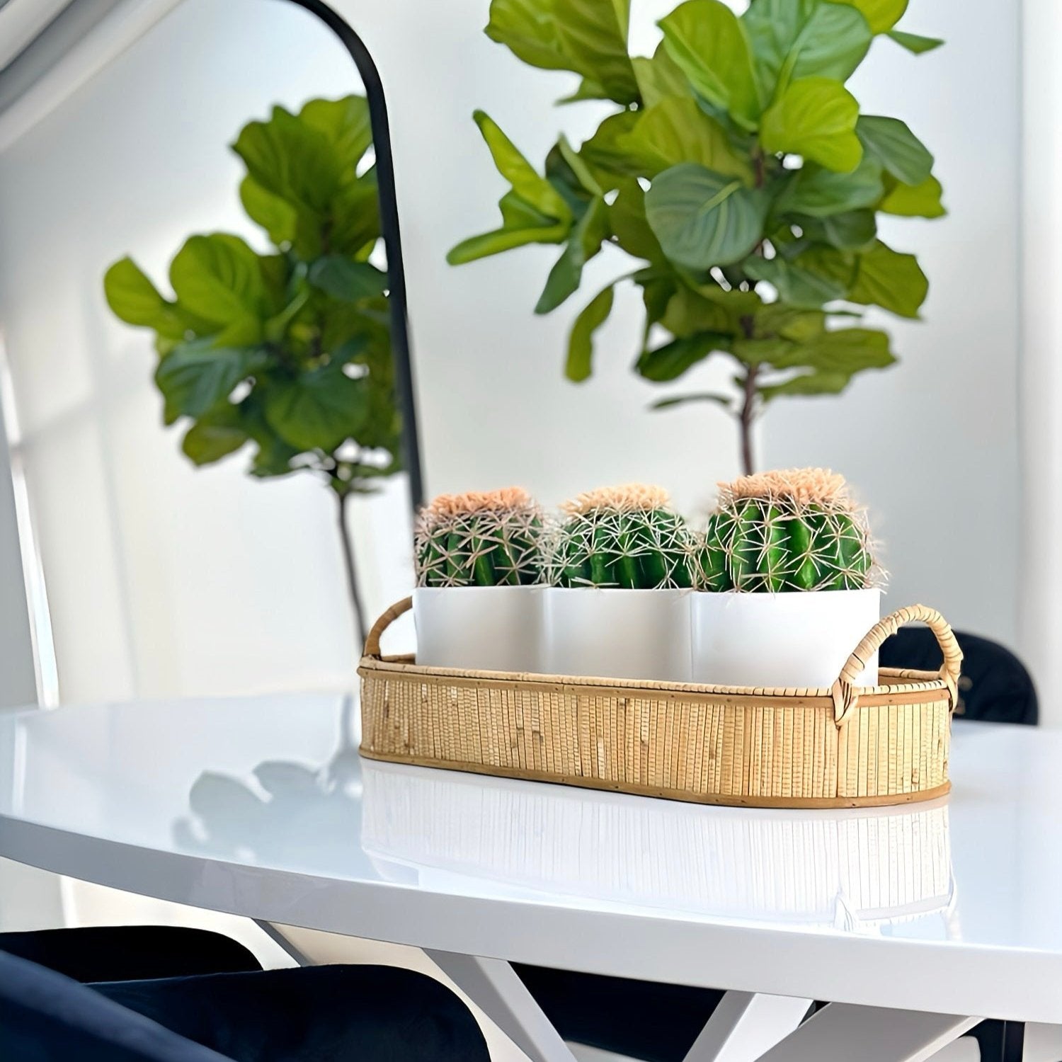 Rattan Oval Handcrafted Tray