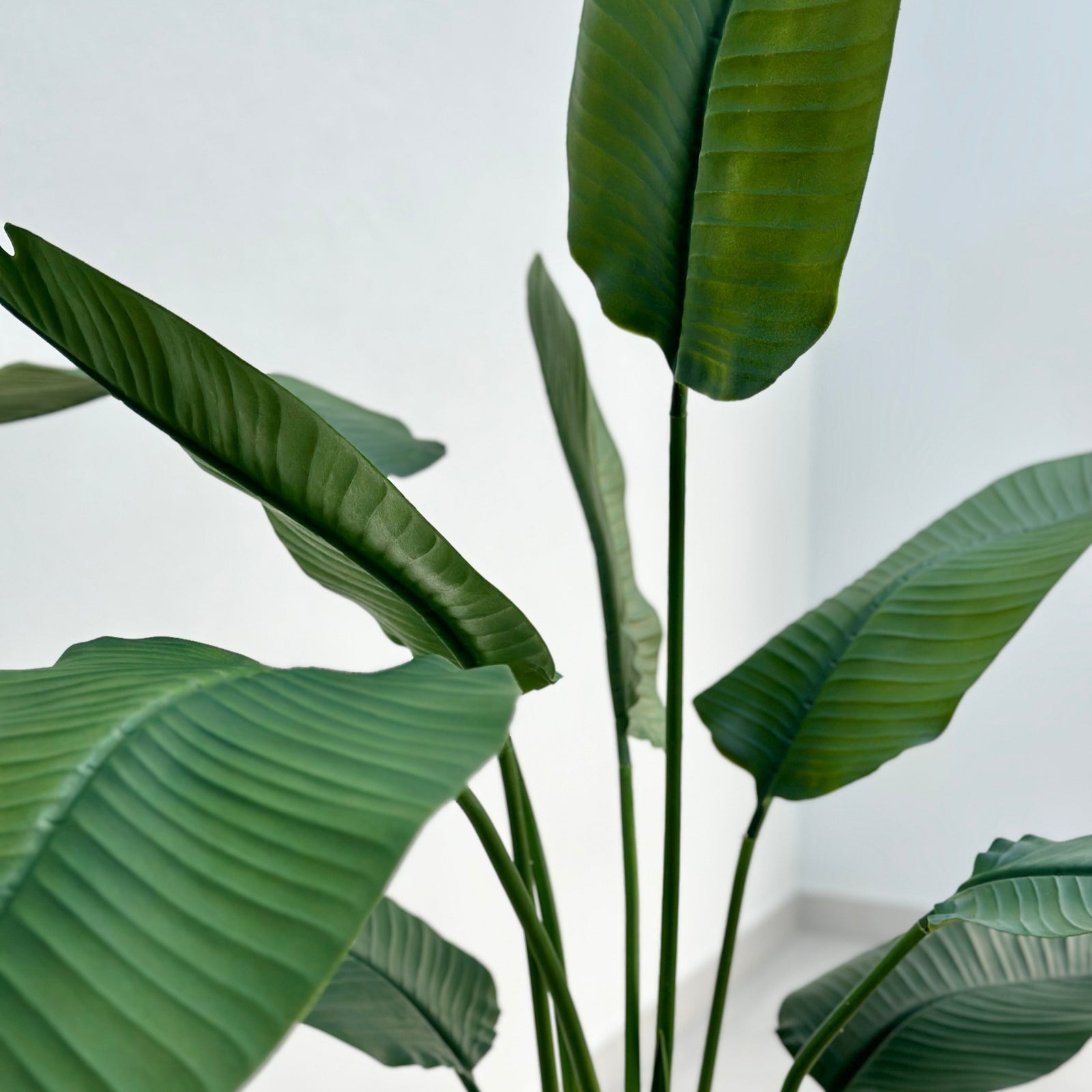 Real Touch Bird of Paradise Tree 74"