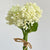 Hand Tied Ivory Fruits