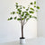 Real Touch Enkianthus Tree 56"