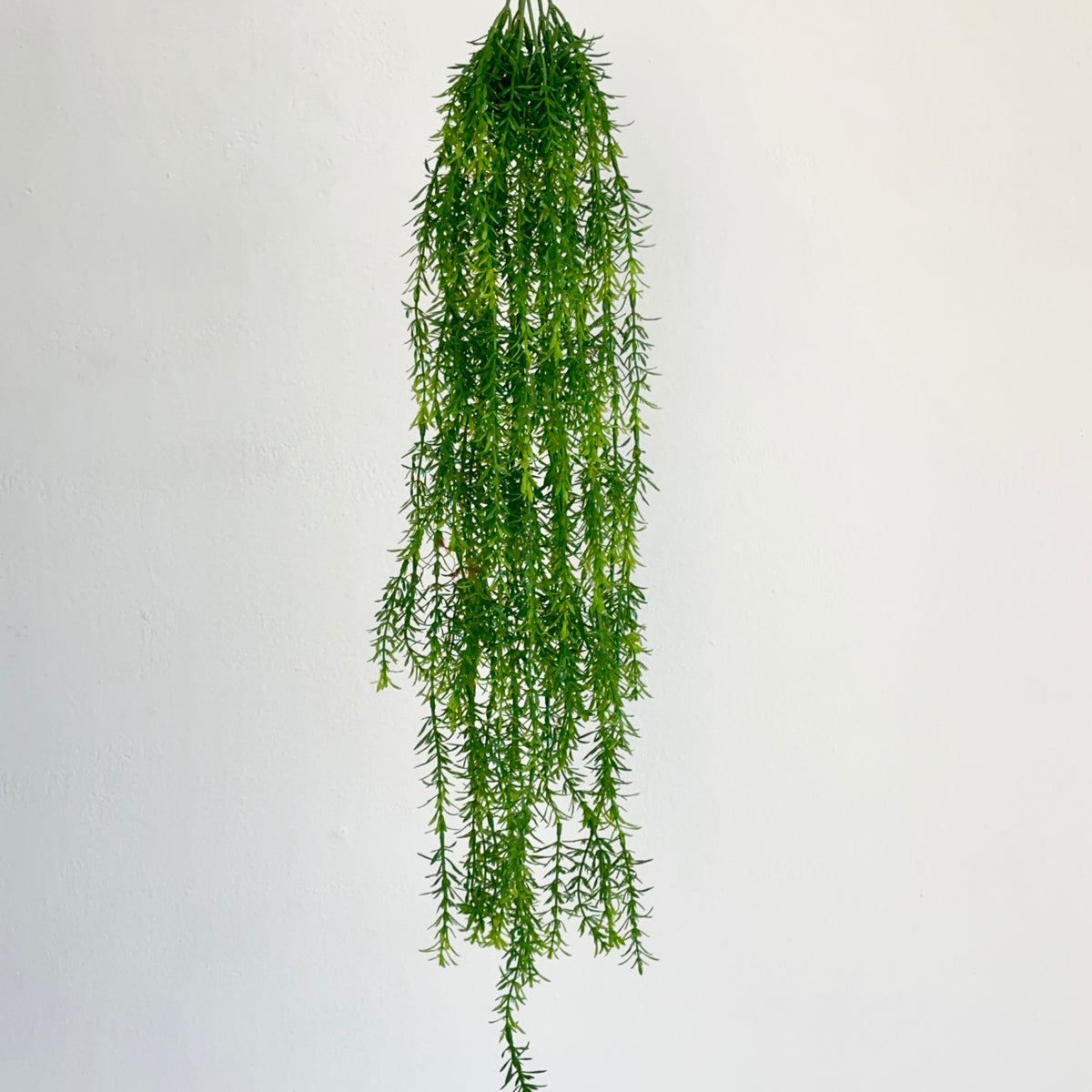 Heads Fish Grass Hanging Bush