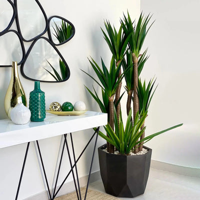 Rekha Mate Black Fiber Clay Planter