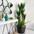 Rekha Mate Black Fiber Clay Planter