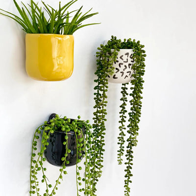 Wall Hanging Ceramic Black Vase