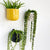Wall Hanging Ceramic Black Vase