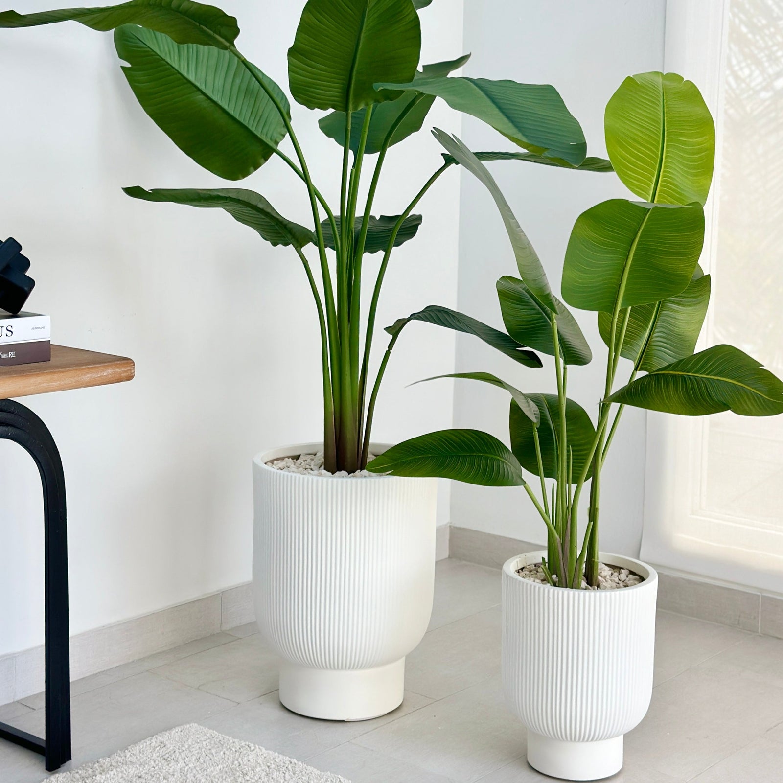 Metropolitan Ivory Carved Lines Fiber Clay Planter