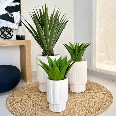 Bishop Carved Lines Fiber Clay Planter