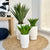 Bishop Carved Lines Fiber Clay Planter
