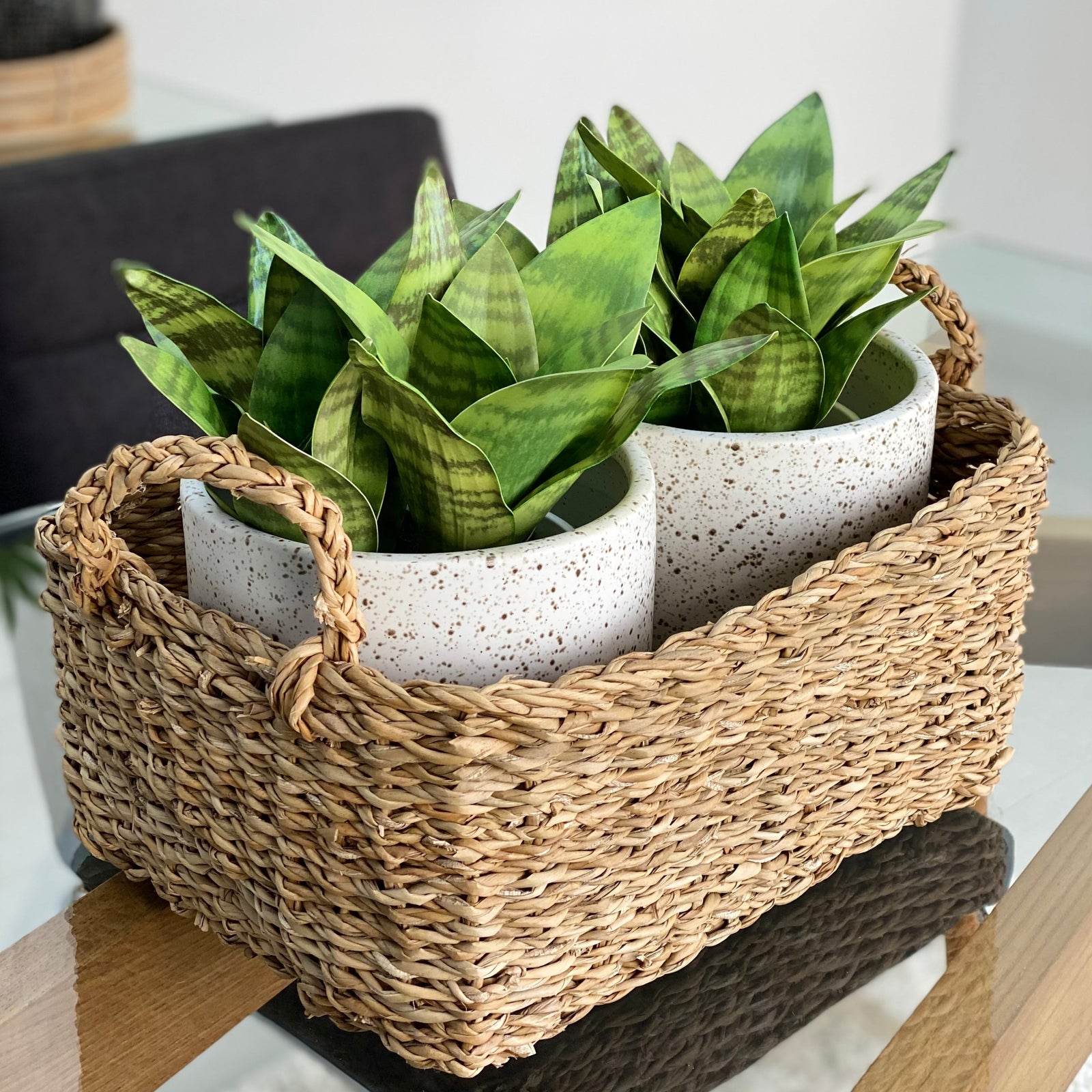 Rattan Baskets