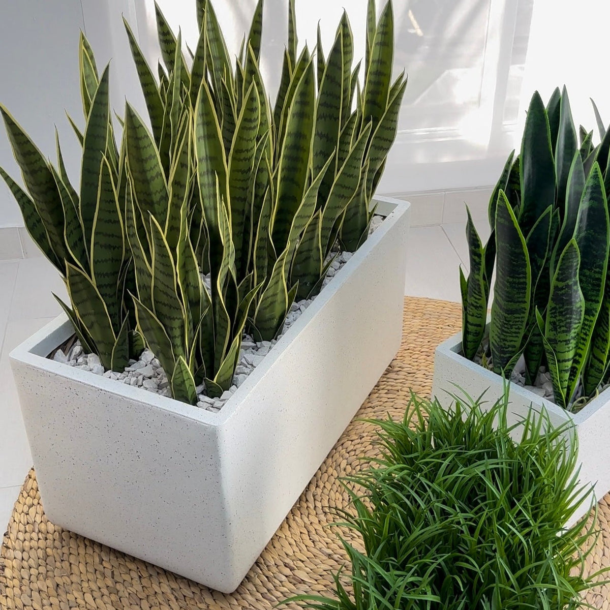 Rectangle Smooth Terrazo Planter