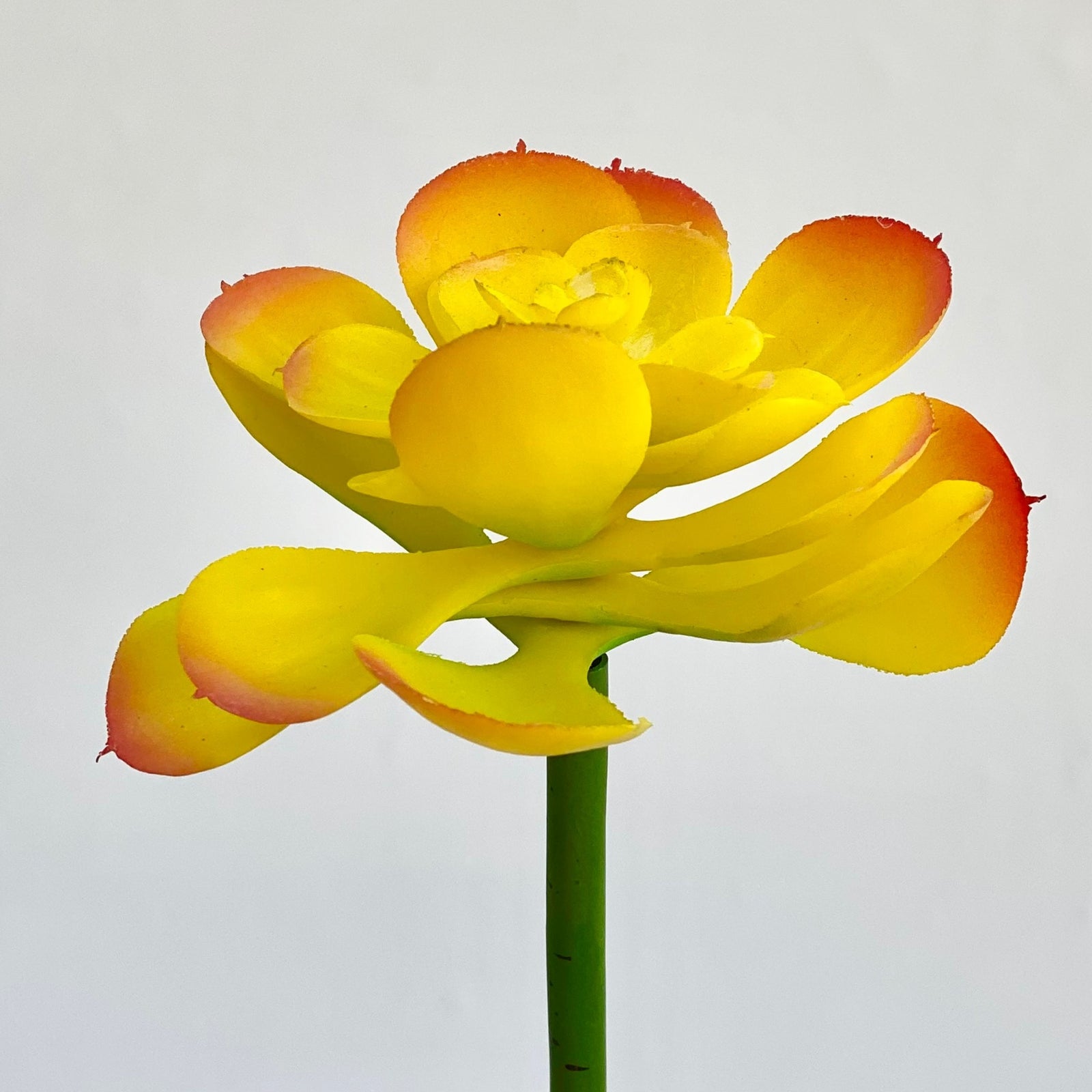 Wild Stone Yellow Faux Succulent Flower