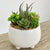 Mini Planter Green Assortment Faux Succulent