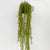 Hanging Airplant Faux Plant