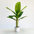 Banana Green Faux Tree
