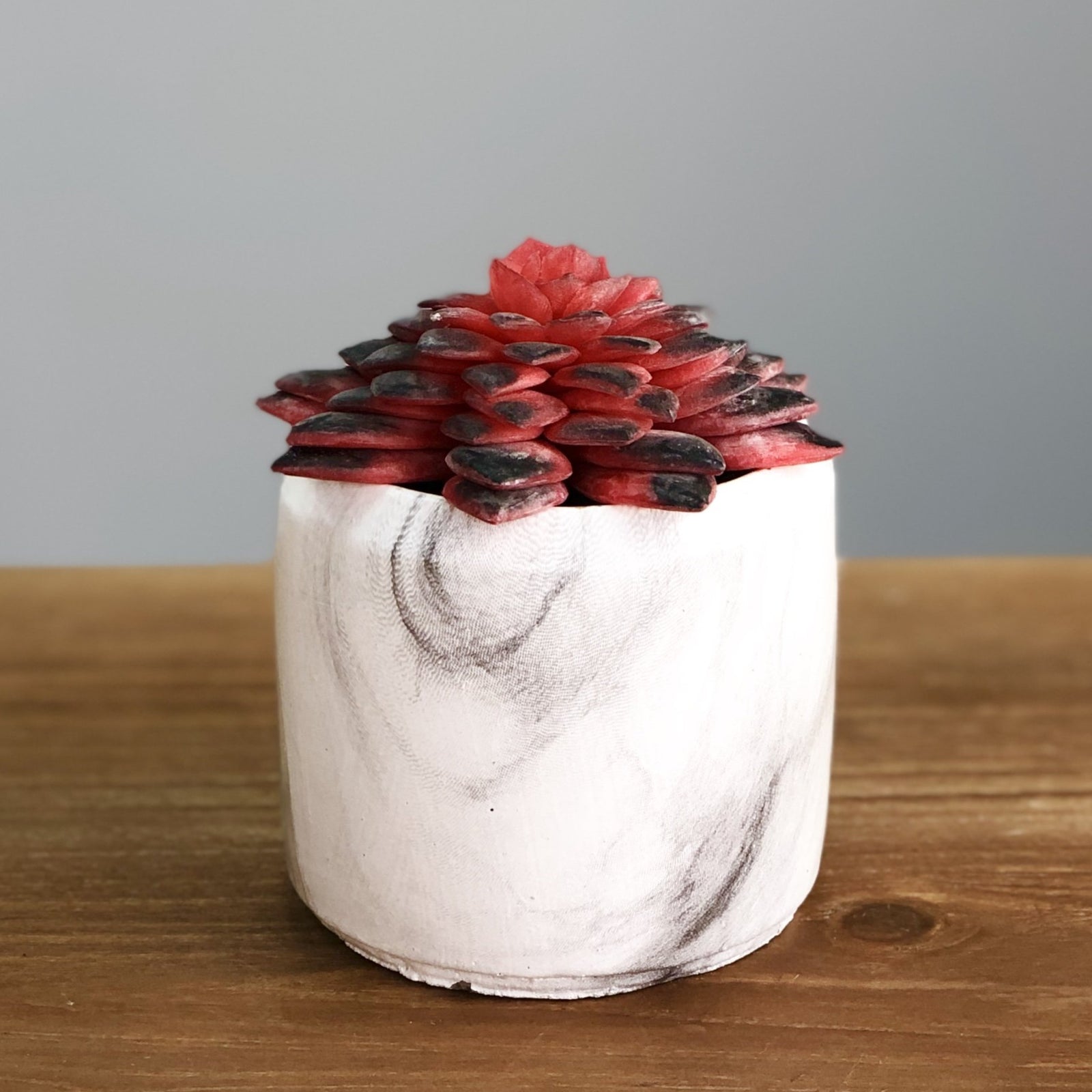 Synthetic Wine Succulent in a Marbling Pot