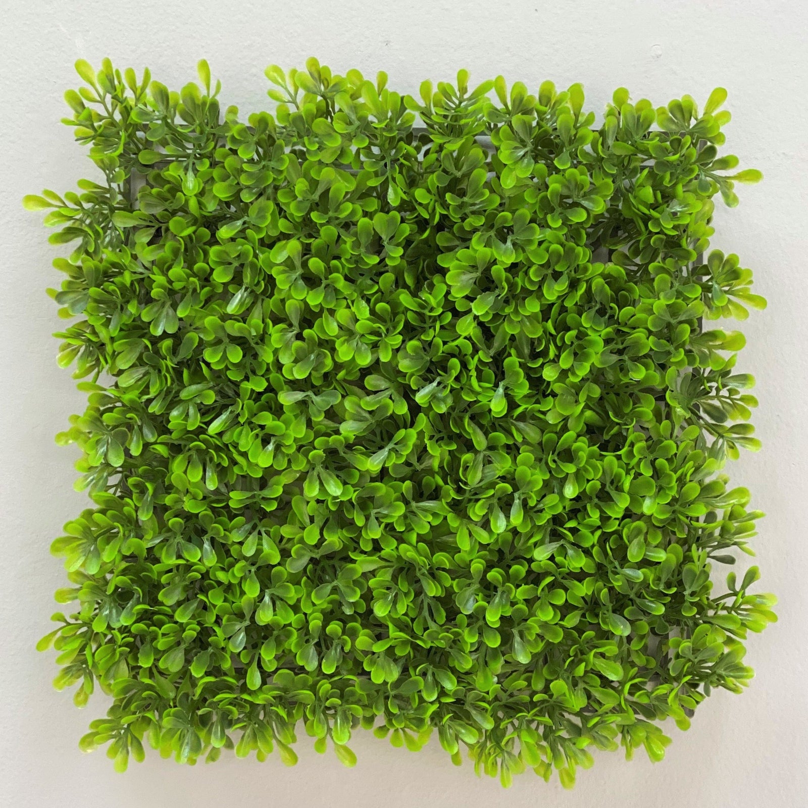 Wall Green Grass Square Panel