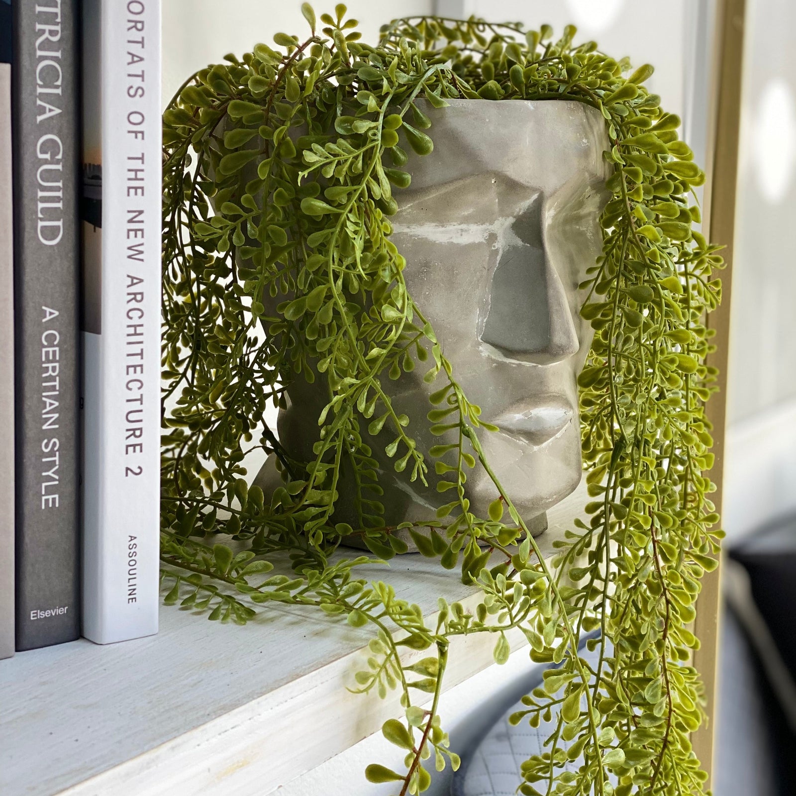 Hanging Airplant Faux Plant