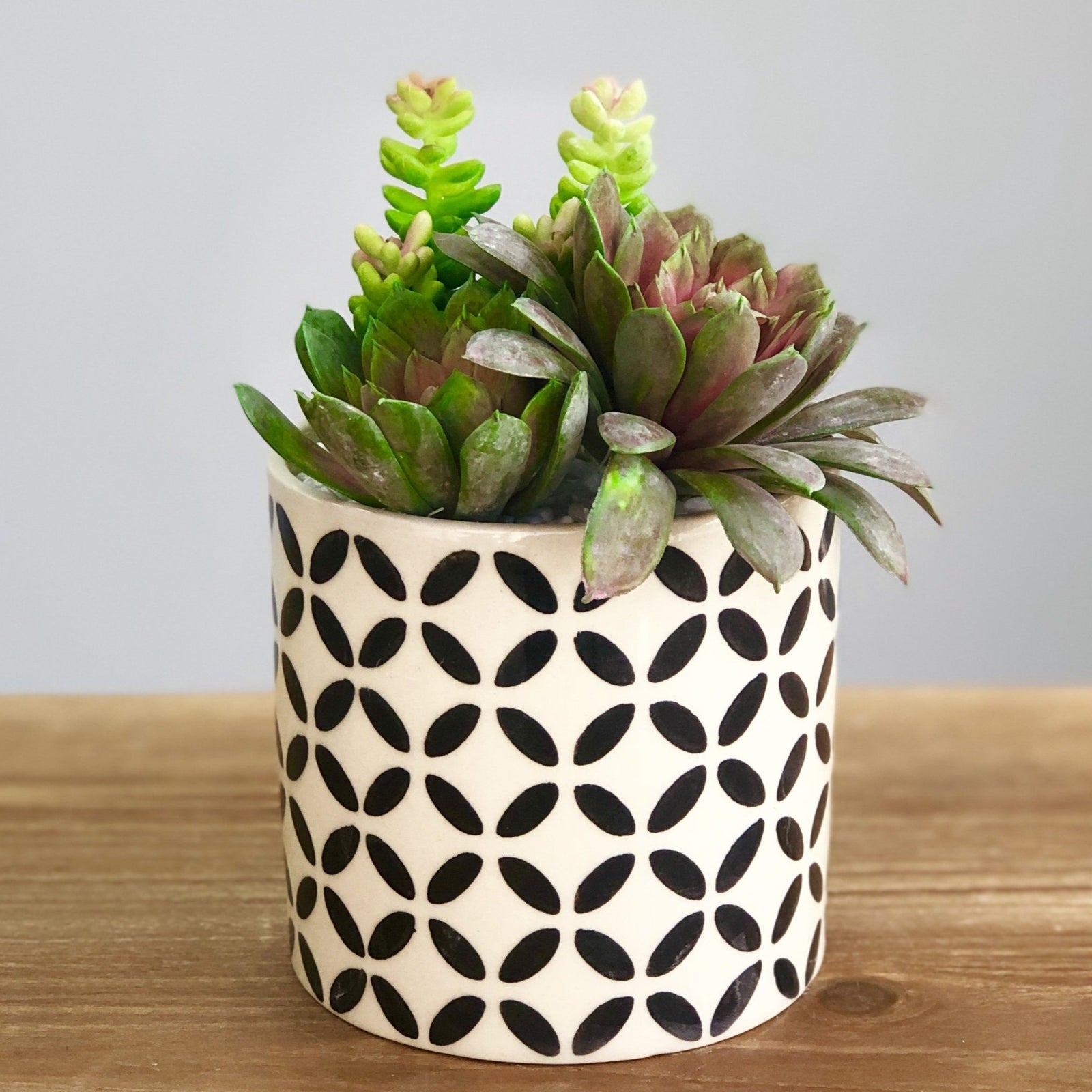 Synthetic Three Succulent Flower in a Pot