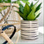 Ceramic Ivory Round Pot Planter