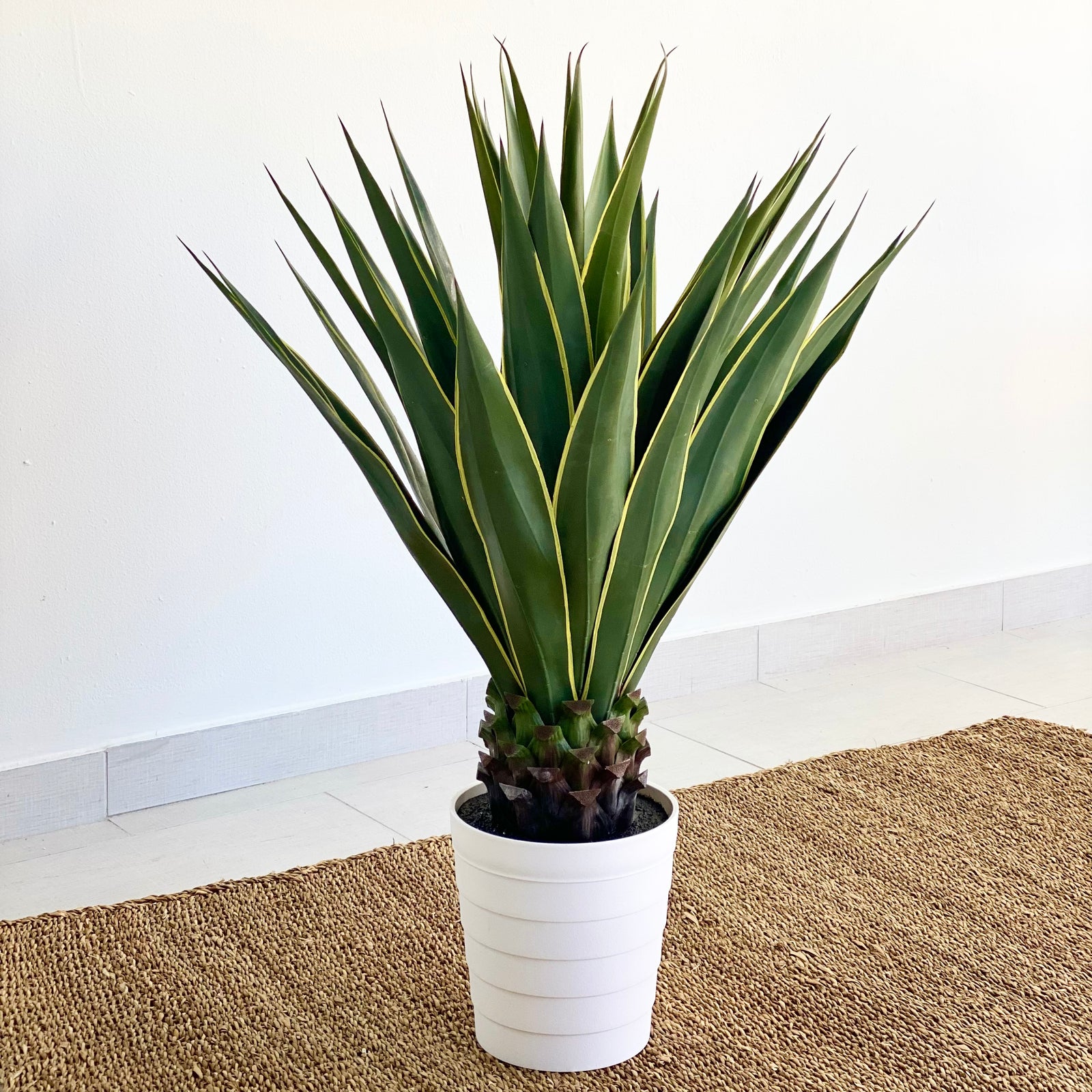 Caribbean Faux Agave