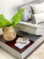 Vivid Gray Corner Sofa
