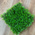 Wall Green Grass Square Panel