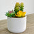 Potted Green and Yellow Assortment Faux Succulent