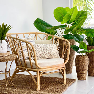 Round Conical Top wicker & Iron Frame Planter