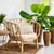 Round Conical Top wicker & Iron Frame Planter