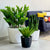 Rekha Terrazo Fiber Clay Planter