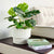 Metropolis Carved Lines Fiber Clay Planter