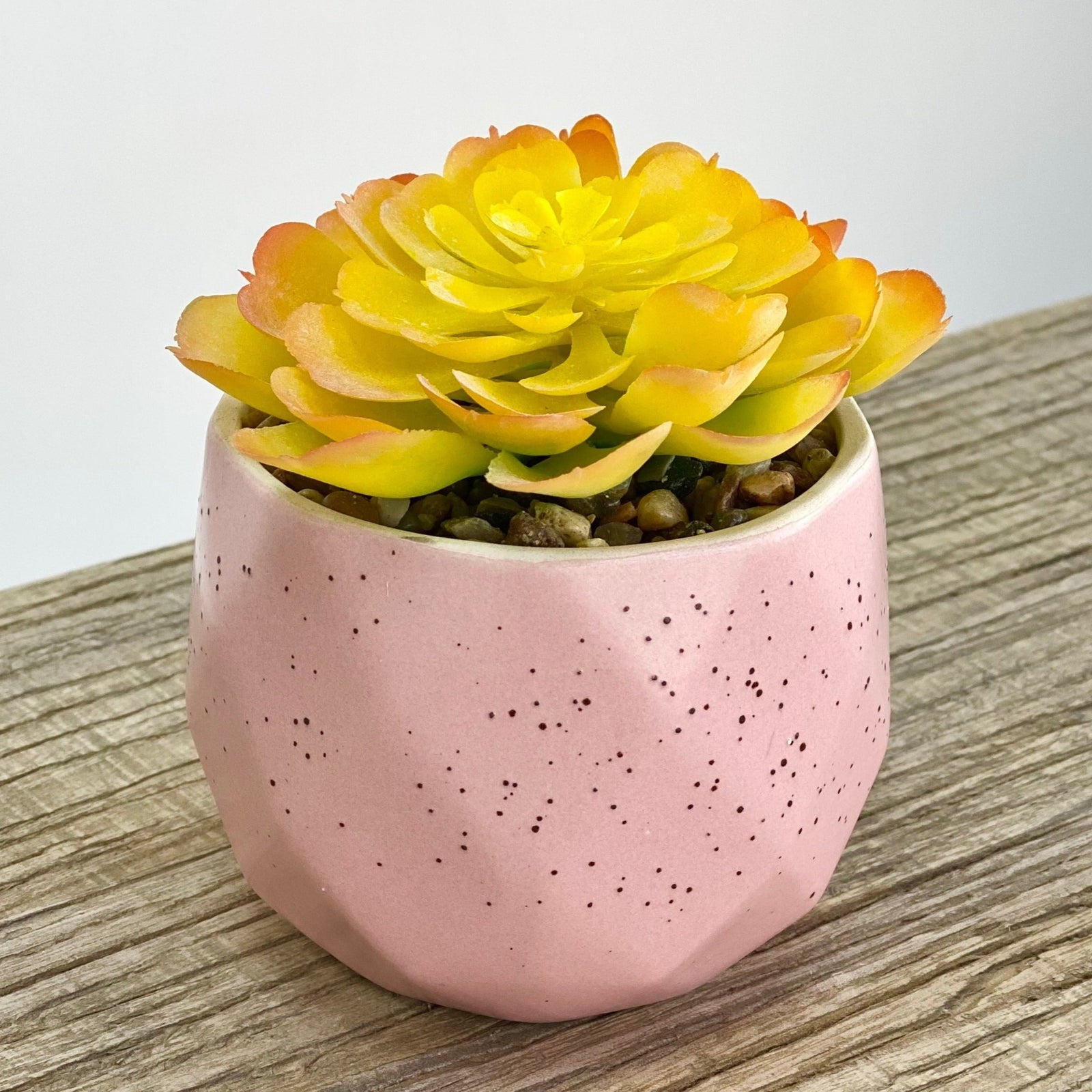 Atlantis Potted Faux Yellow Succulent Pink Pot
