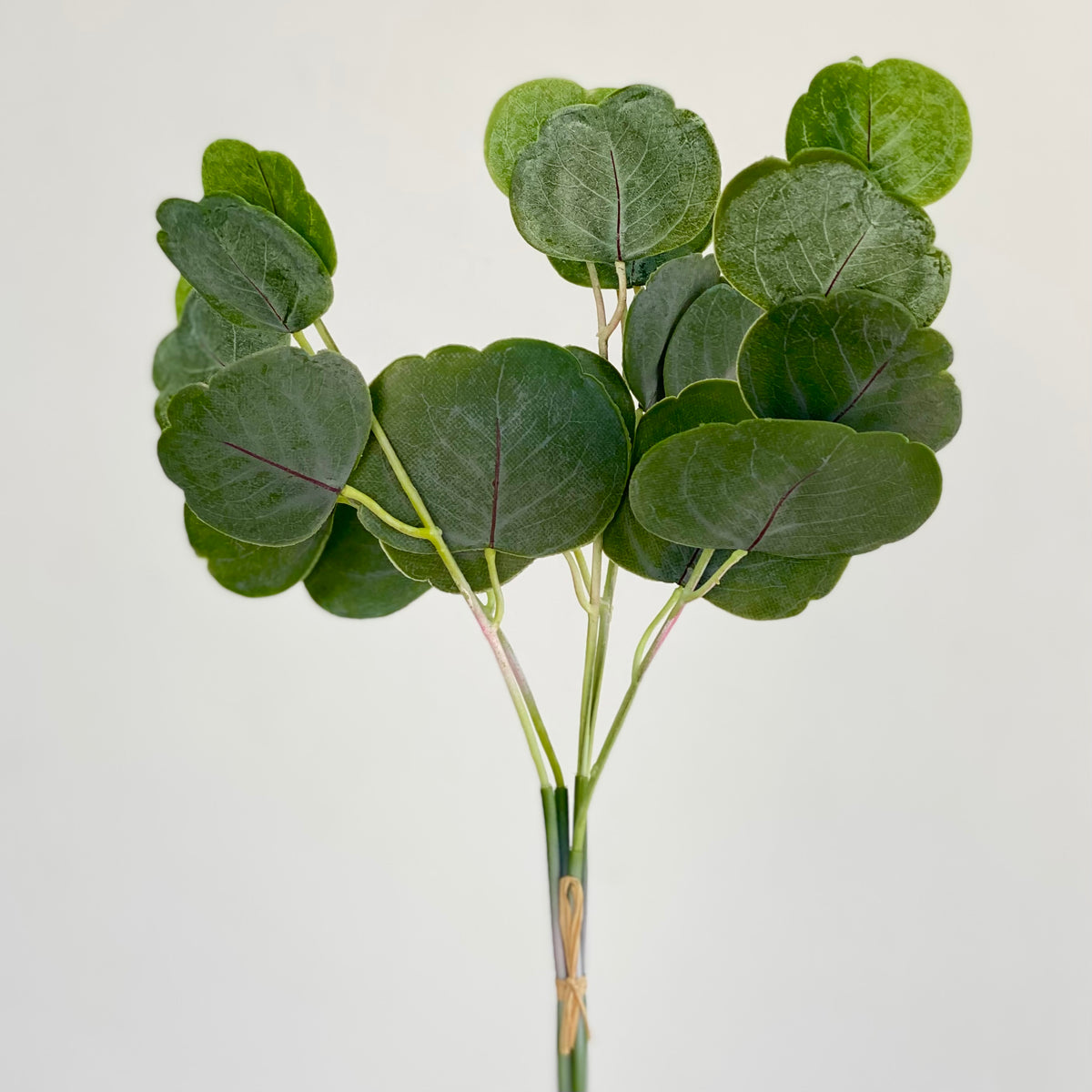 Eucalyptus Bouquet