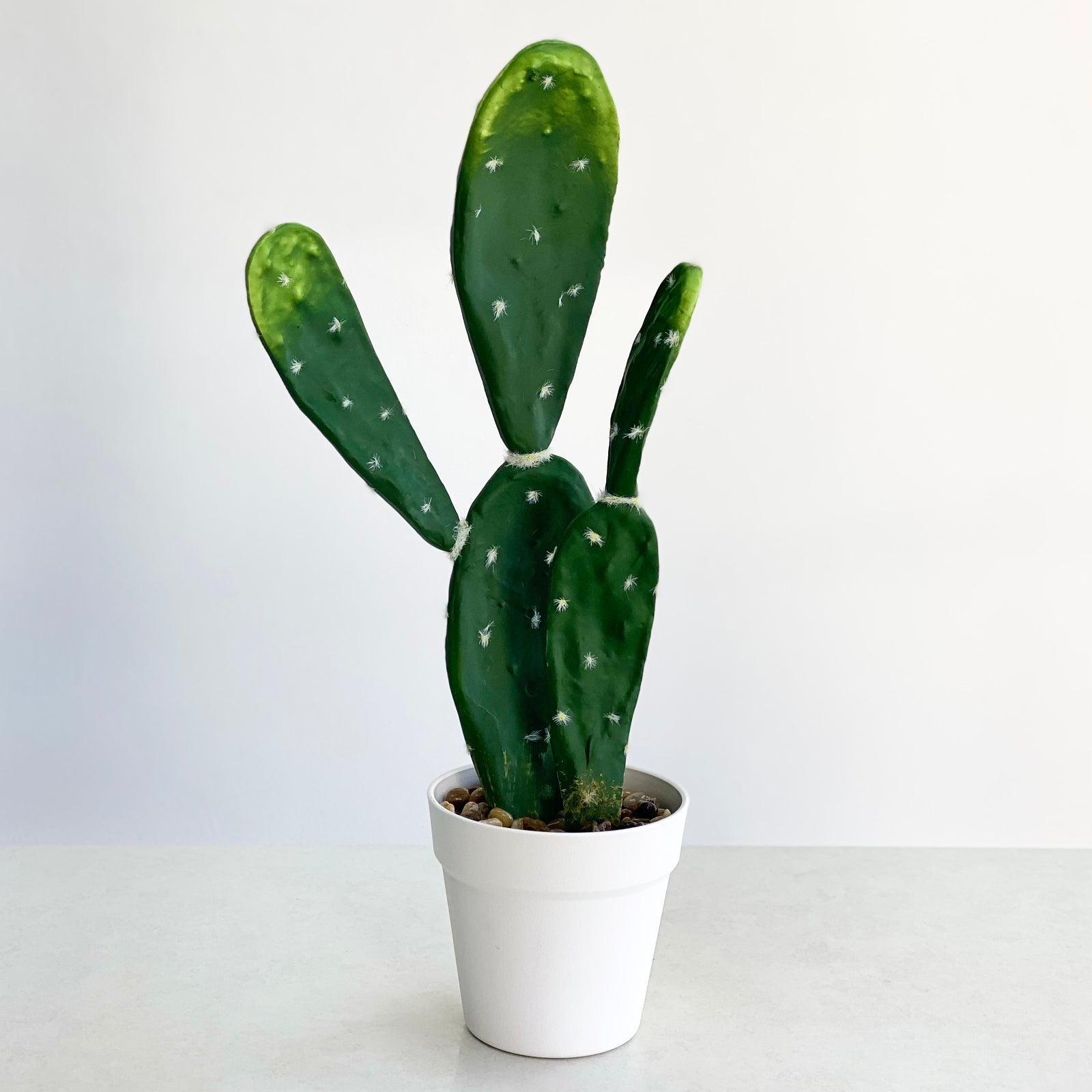 Tuna Faux Cactus