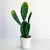 Tuna Faux Cactus