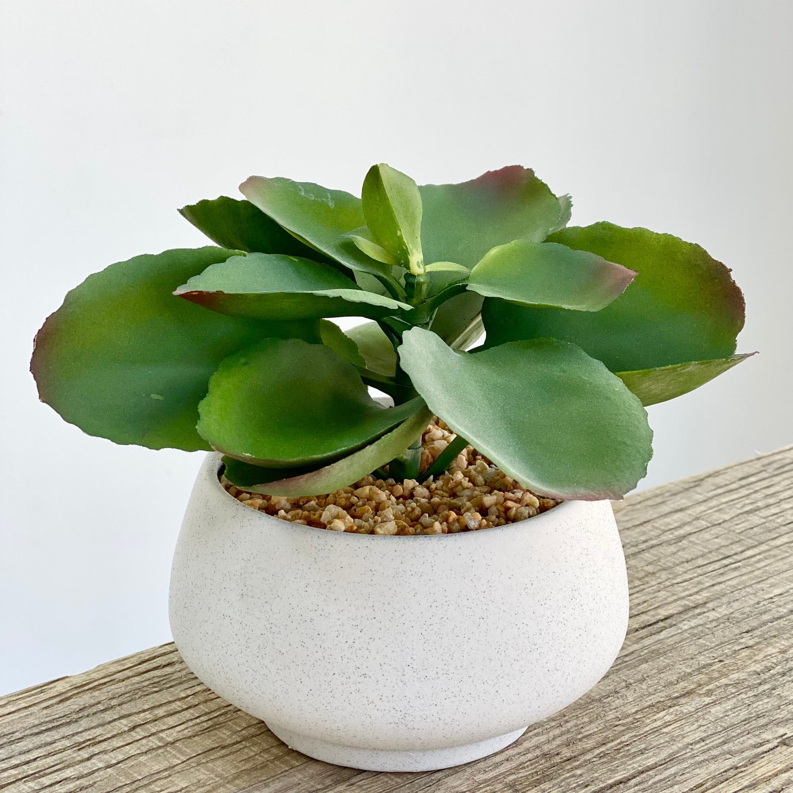 Monarca Potted Faux Succulent Plant