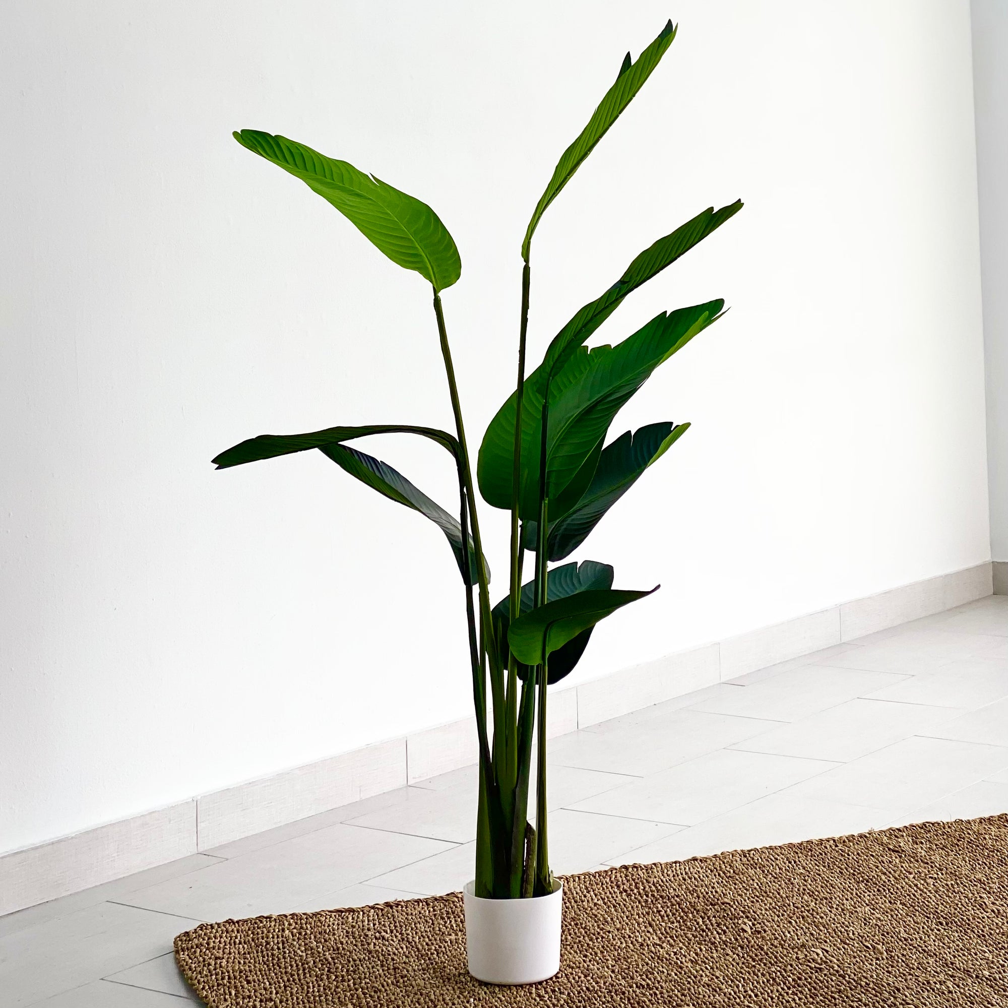 Traveler Faux Palm