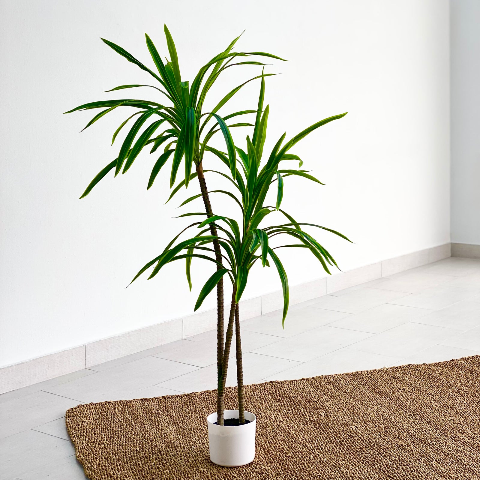 Real Dracaena Faux Plant