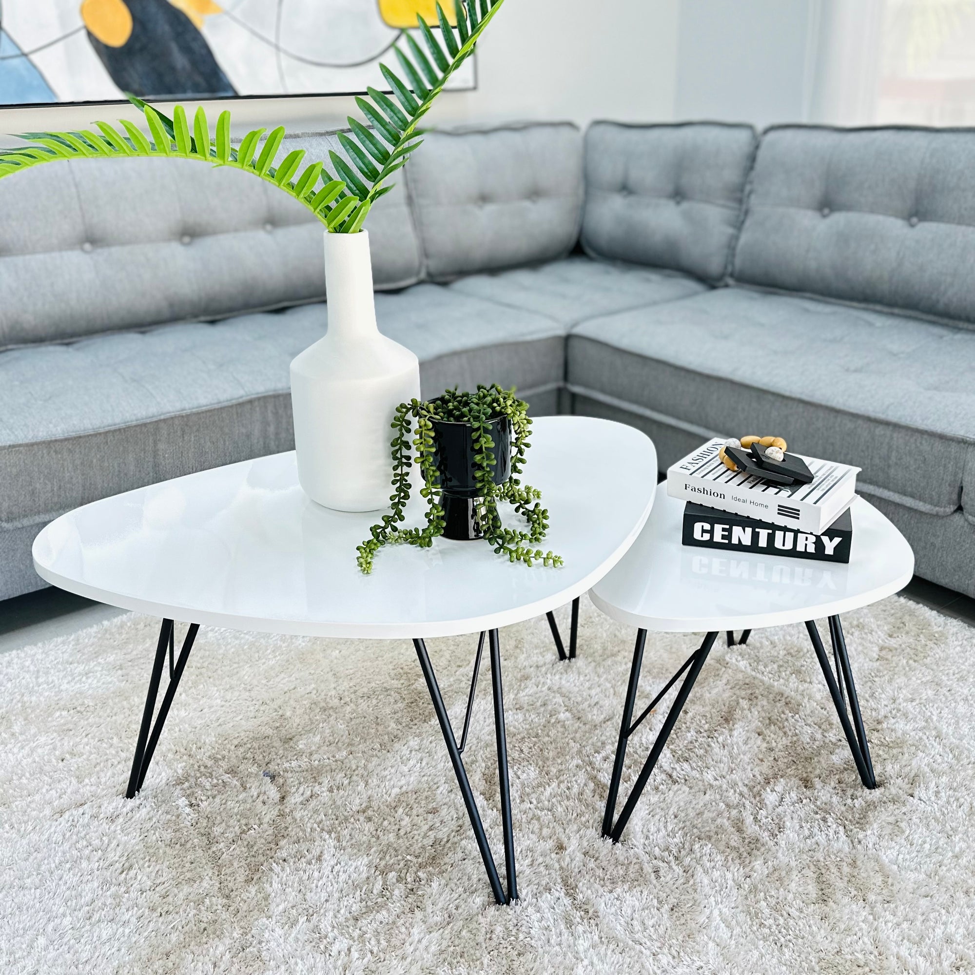 Curved Triangle White Coffee Table Set